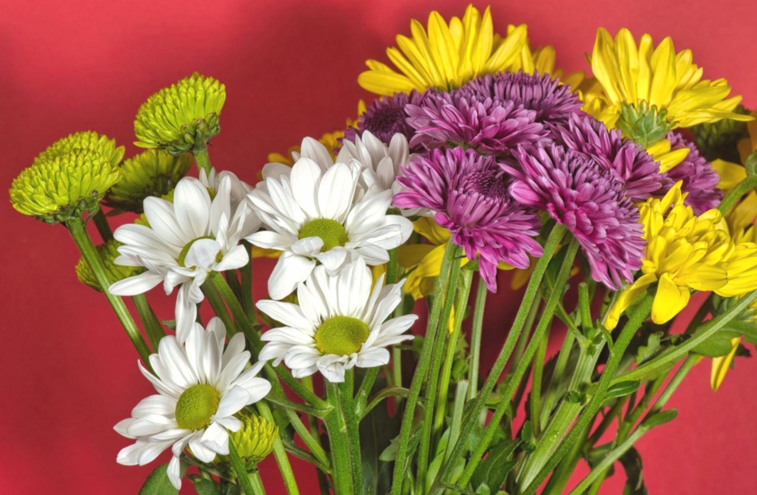 Parallel floristry arrangement demonstrating structured stem placement technique