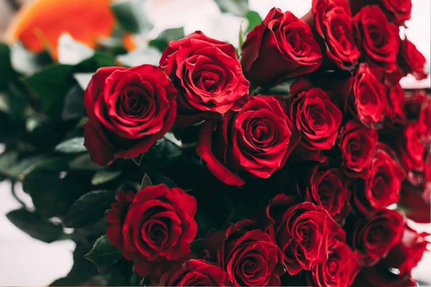 Floristry instructor demonstrating parallel stem arrangement during an online session